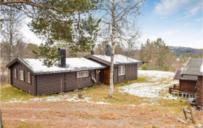 Cozy Home In Rauland With Wifi